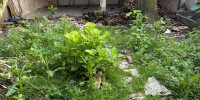 immeuble à AGEN (47000)