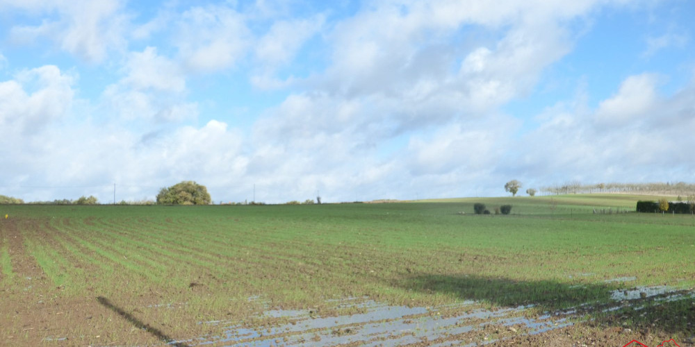 terrain à DONDAS (47470)