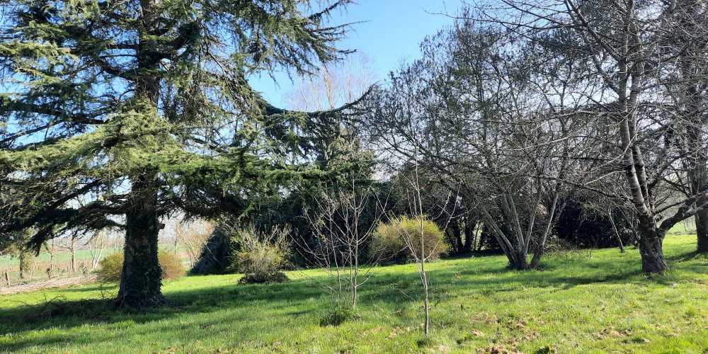 maison à LA SAUVETAT DU DROPT (47800)