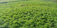 terrain à MARMANDE (47200)