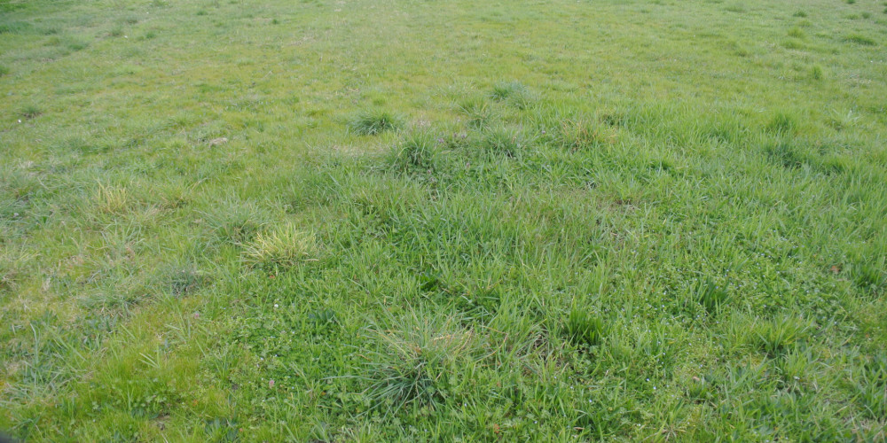 terrain à MARMANDE (47200)