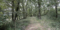 terrain à GRATELOUP ST GAYRAND (47400)