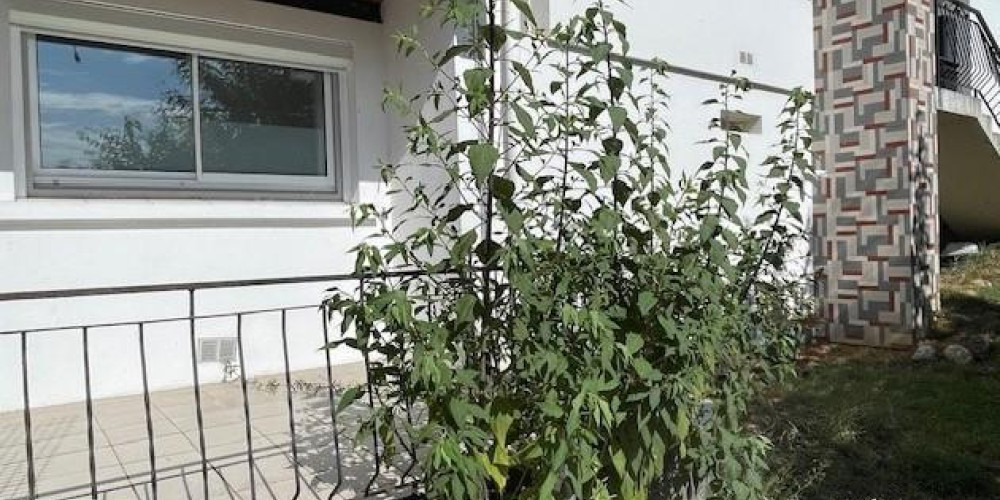 maison à FOULAYRONNES (47510)