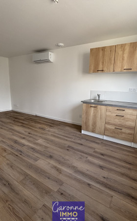 Appartement  CASTELJALOUX