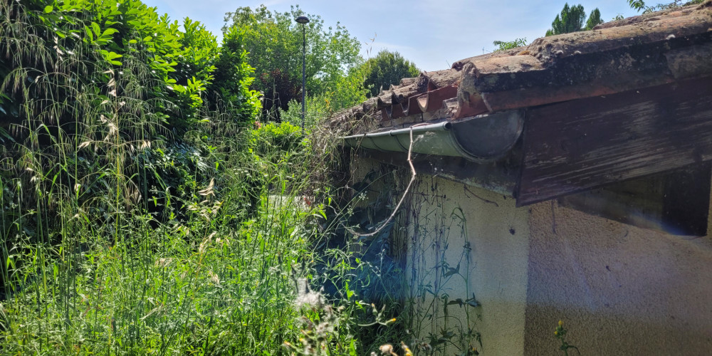 terrain à DAMAZAN (47160)