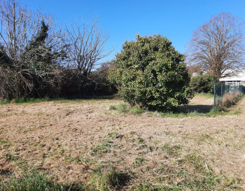 terrain  AIGUILLON
