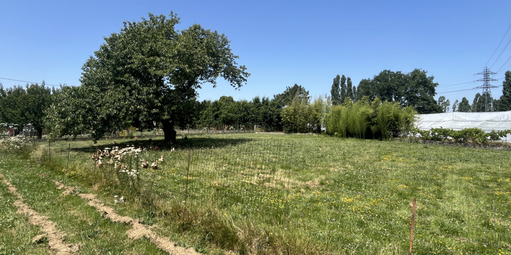 maison à TONNEINS (47400)