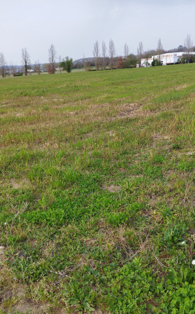 Terrain  MIRAMONT DE GUYENNE