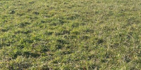 terrain à BEAUPUY (47200)