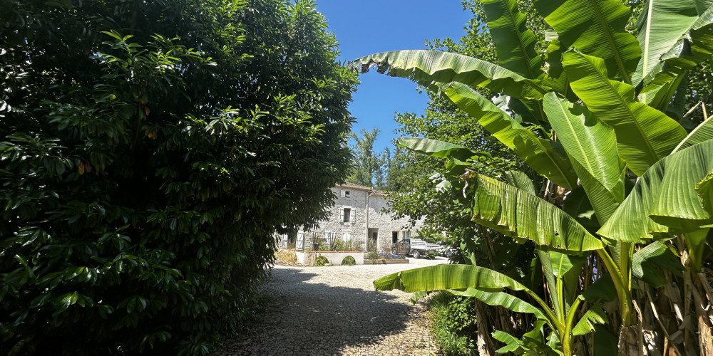 local commercial à AGEN (47000)