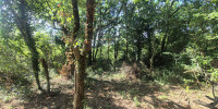 terrain à LAYRAC (47390)