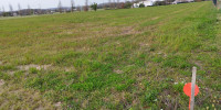 terrain à MIRAMONT DE GUYENNE (47800)