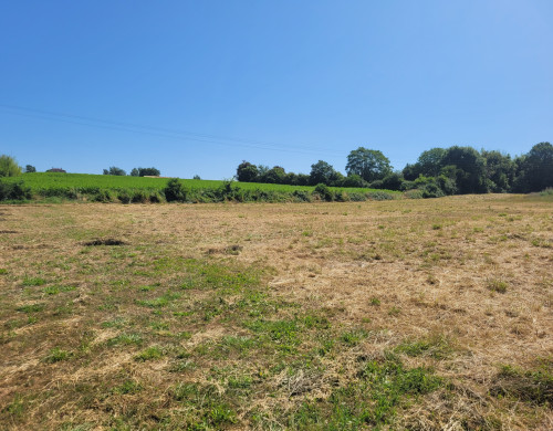 terrain  SEYCHES