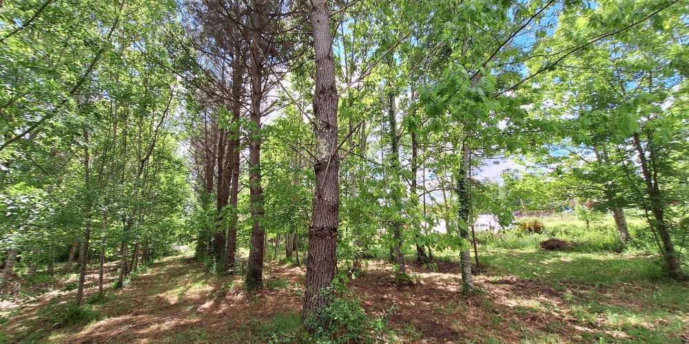 maison à SERIGNAC PEBOUDOU (47410)