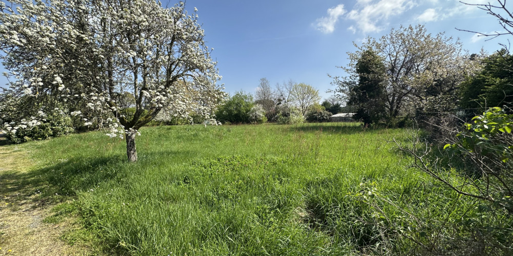 terrain à BEAUPUY (47200)