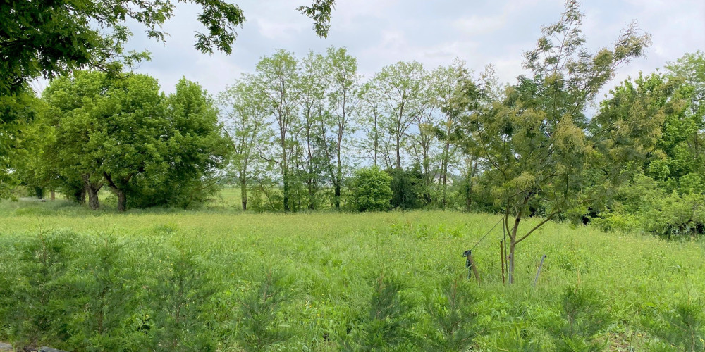 terrain à MARMANDE (47200)