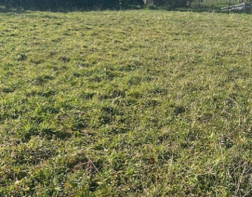 terrain  BEAUPUY