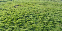 terrain à MARMANDE (47200)