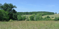 terrain à CASTELNAU SUR GUPIE (47180)
