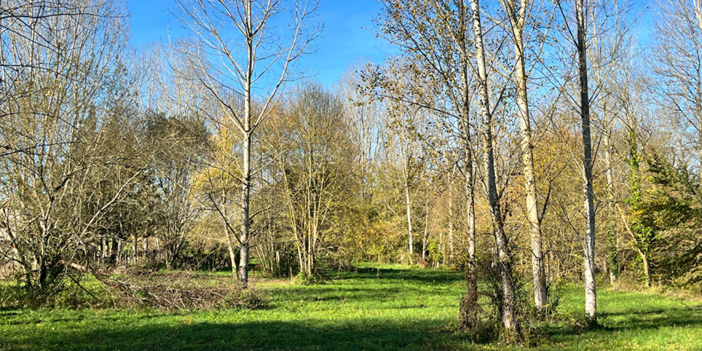 terrain à VILLEREAL (47210)