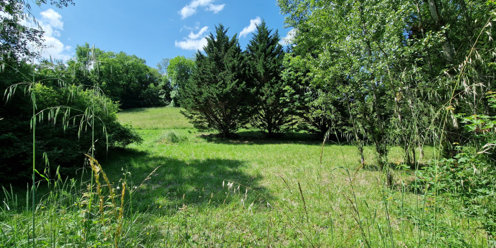 terrain à AGEN (47000)