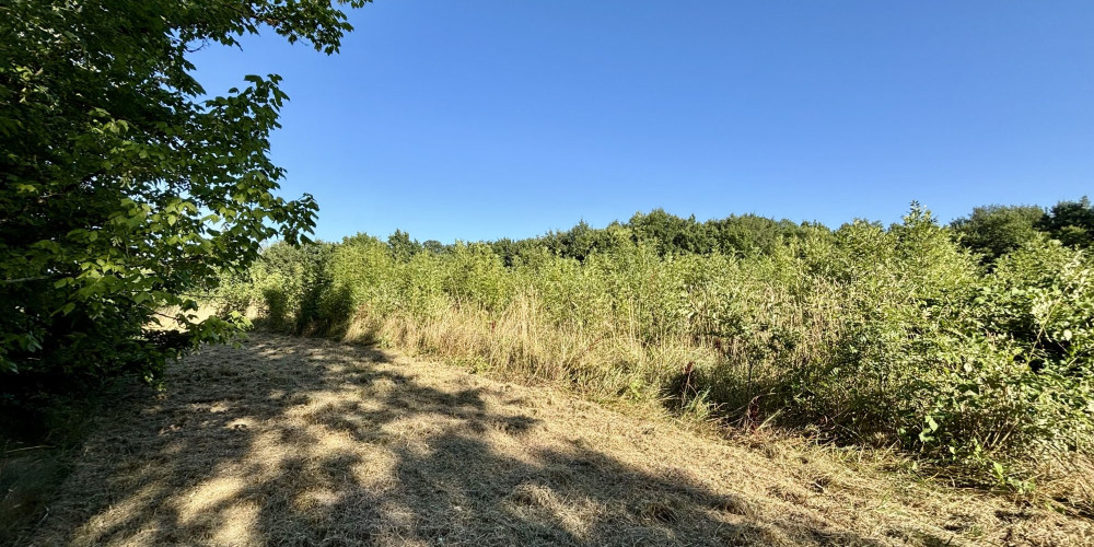 maison à VILLENEUVE SUR LOT (47300)