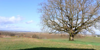 maison à MARMANDE (47200)