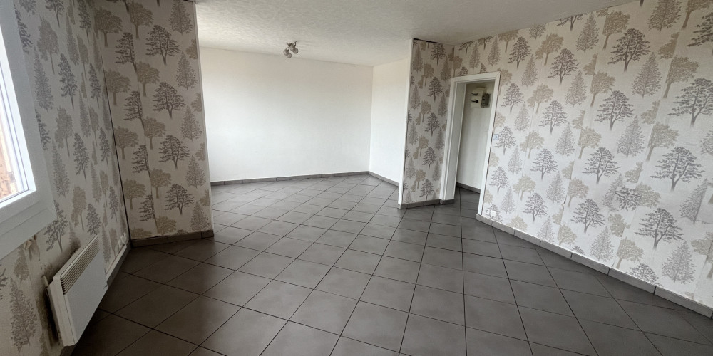 appartement à TONNEINS (47400)