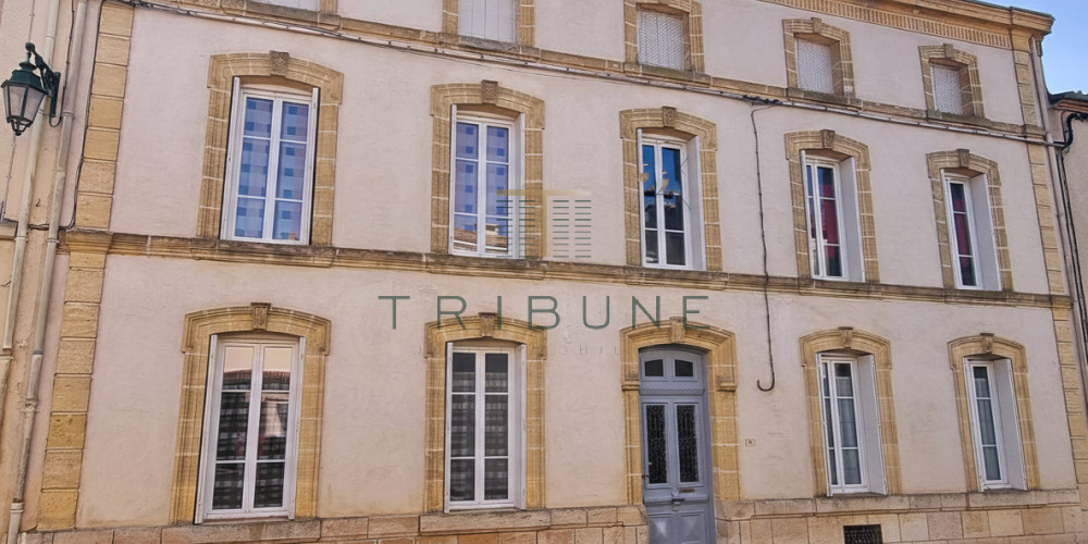 maison à LAPLUME (47310)