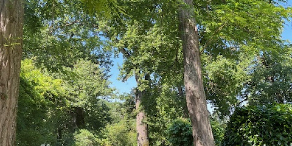 maison à NERAC (47600)