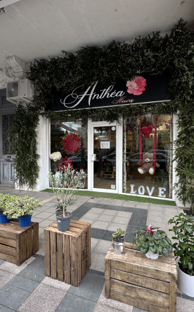 Local commercial  TONNEINS